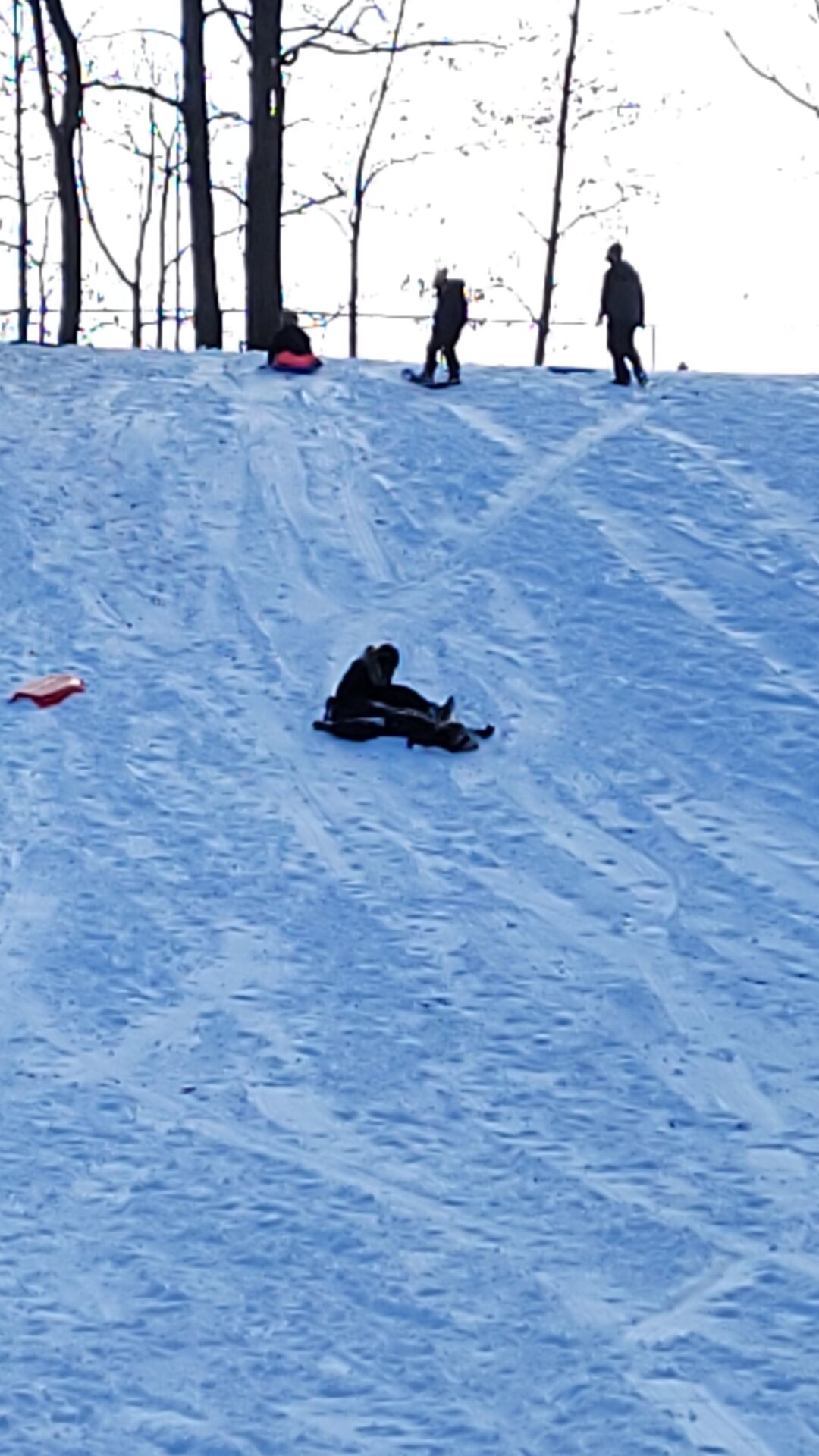 20201230_130453.jpg